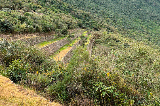 choquequirao-trek