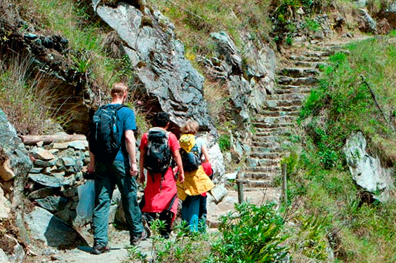 trek-inca-jungle